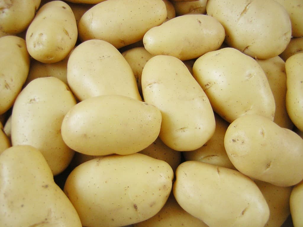 Potato Exporters Pakistan