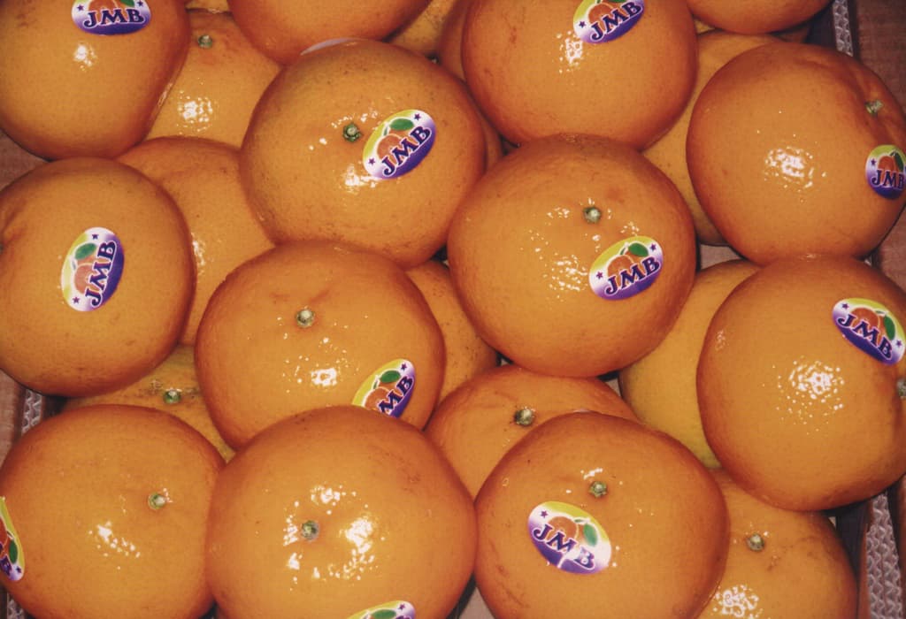 Citrus Exporters Pakistan | JMB Exporters